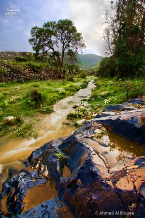 AFTER THE RAIN , ABHA - KSA