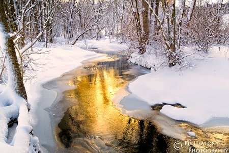 Snowy Reflections