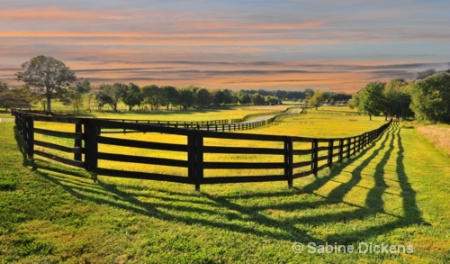 fence and shadow altered