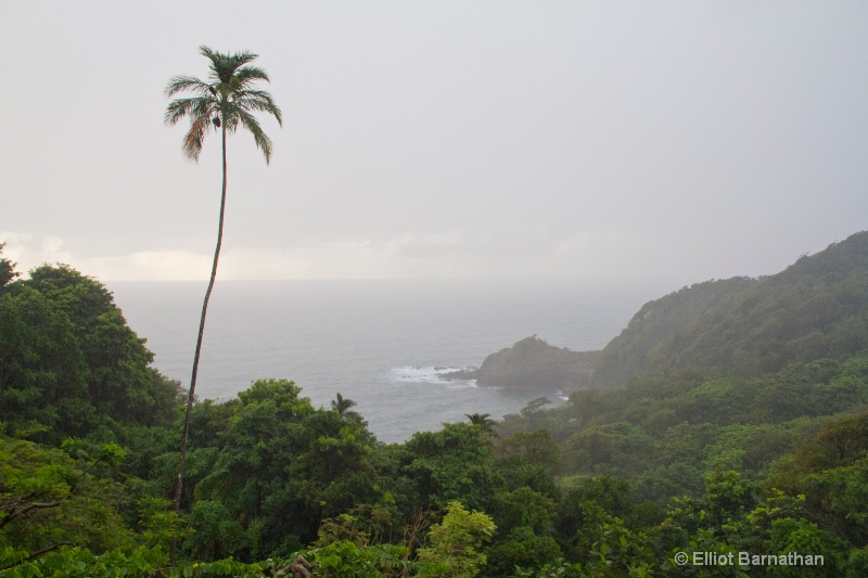 Dominica 70 - ID: 11440728 © Elliot Barnathan