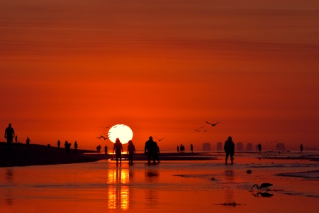 Sanibel Sunrise