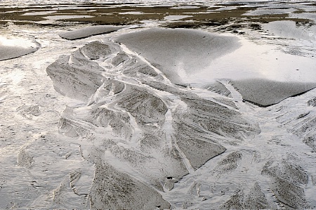 Winter on a barrier island #8-new