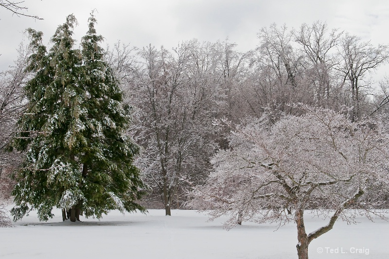 Ice Storm