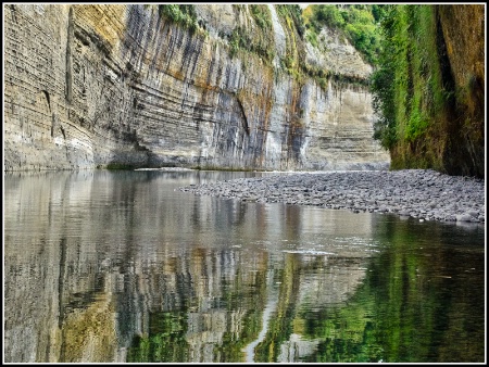 River Reflection