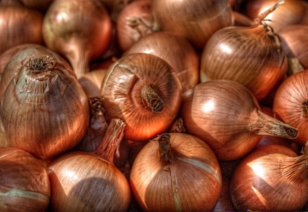 Onions Aglow II