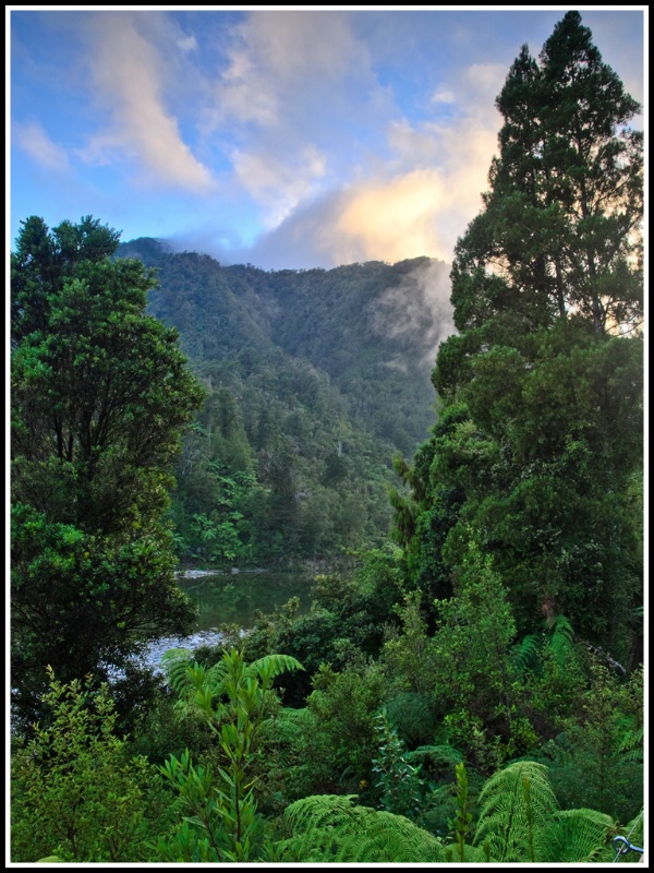 Sunrise in the rain forest