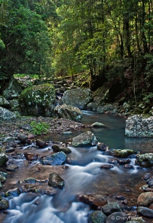 1.1 Springbrook National Park