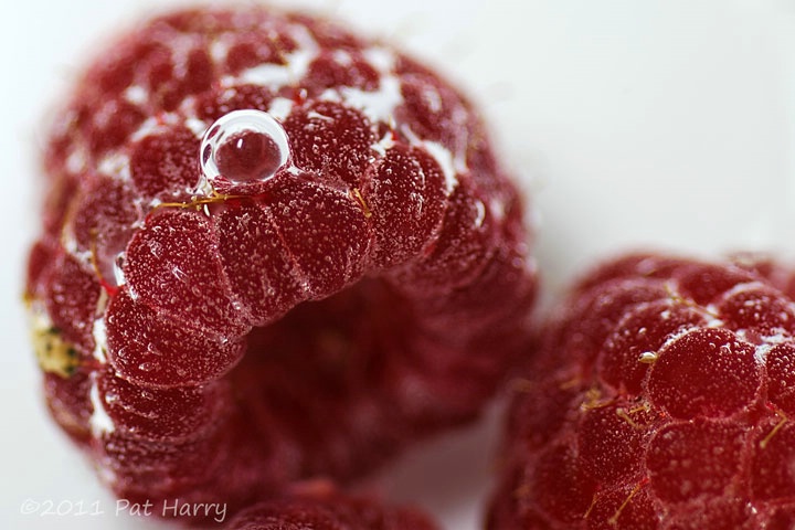 Blowing Raspberries