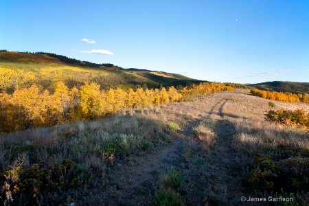 The Timber Trail