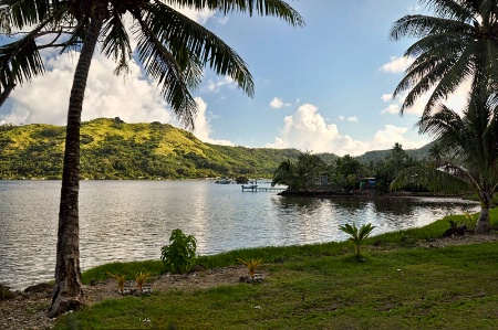 Along the Road In Bora Bora