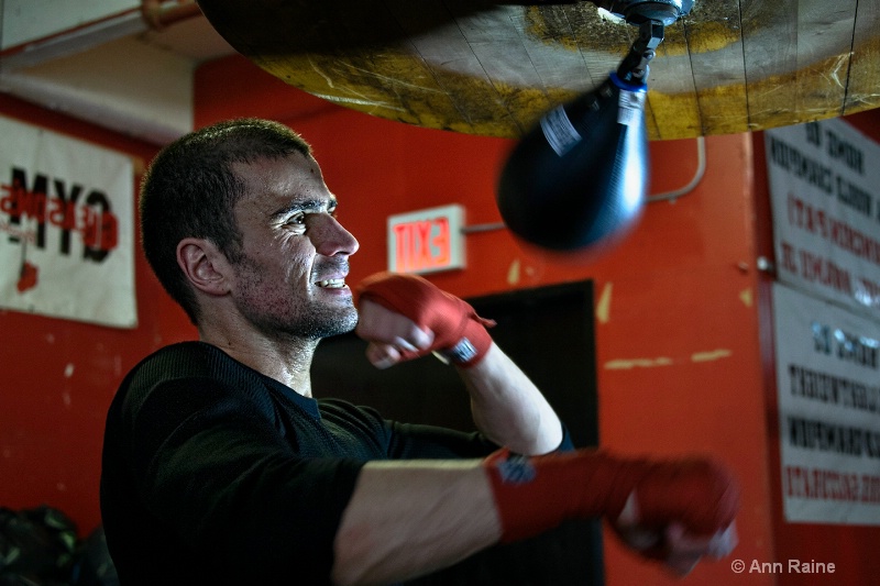 Boxer Workout