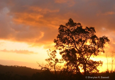 Sunrise on the Bibbulmun Track