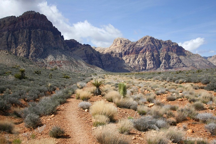  Afternoon Hike