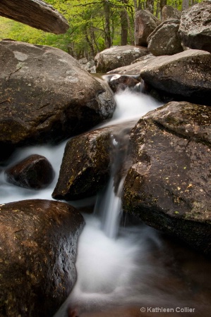 Roaring Forks