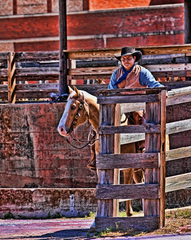 Cowboy (Topaz Adjust)