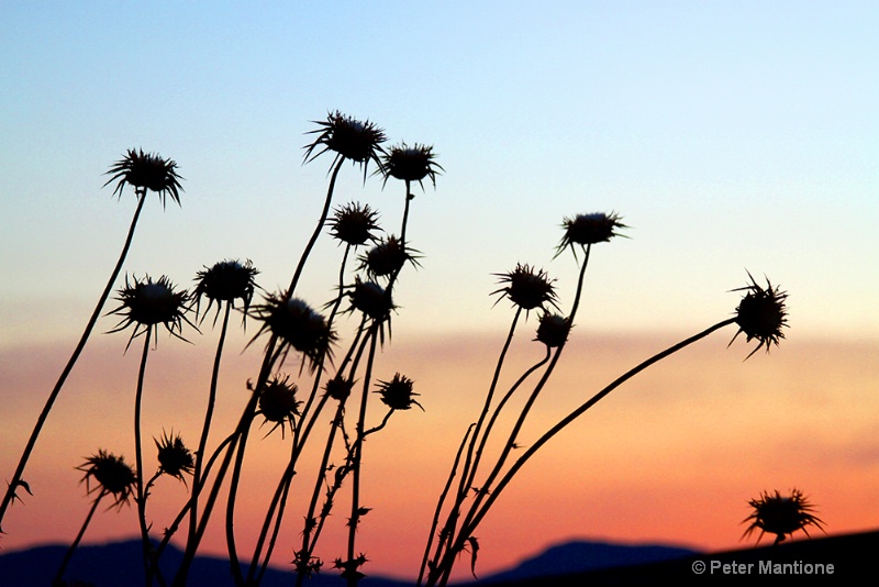 Sicilian Sunset