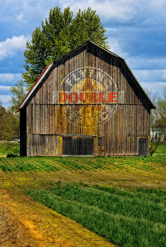 Flying Aces Barn