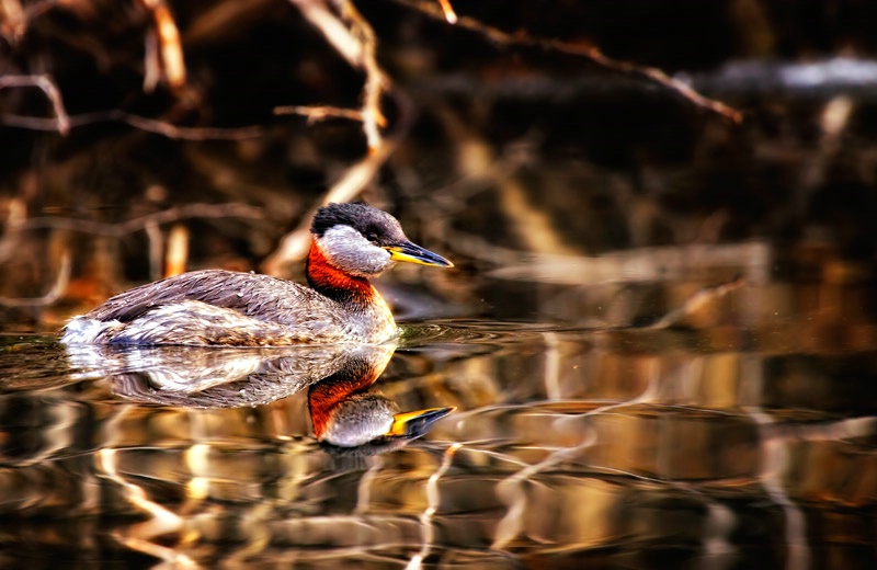 Camouflaged