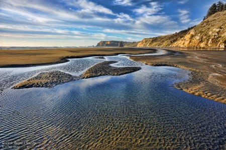 Tide Pools in the Sand