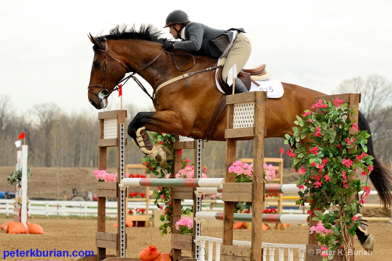 Equestrian competition.