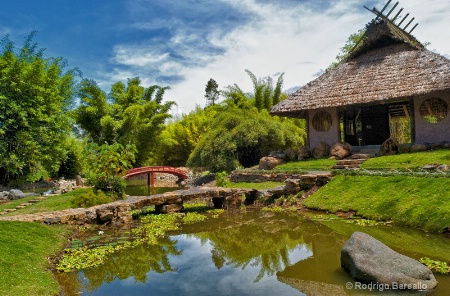 lankester gardens, costa rica