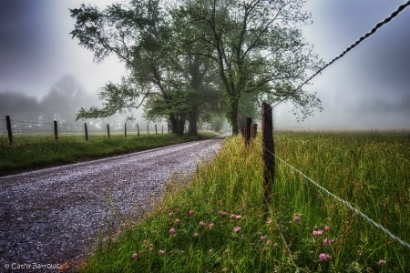 Down The Lane