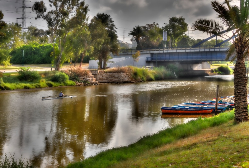 Early Morning Rowing