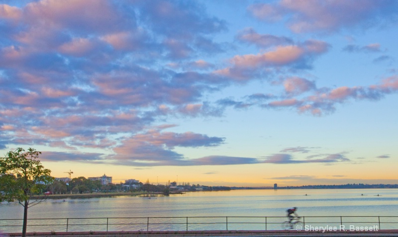 The Swan River, early morning