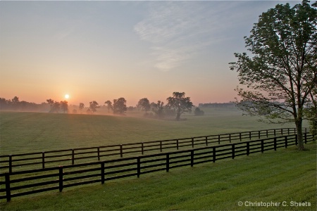 Springtime In Kentucky