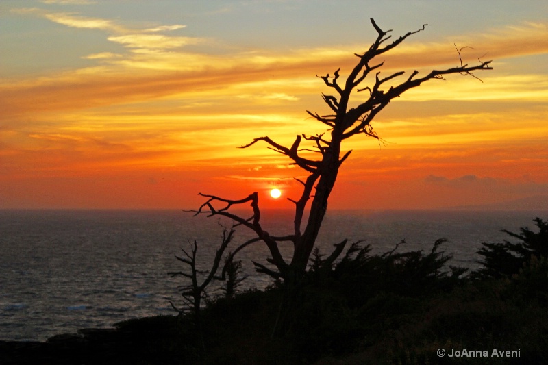 Sunset Silhouette