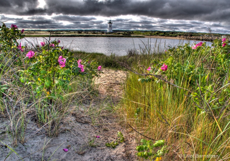 Martha's Vineyard 23 - ID: 11849665 © Elliot Barnathan