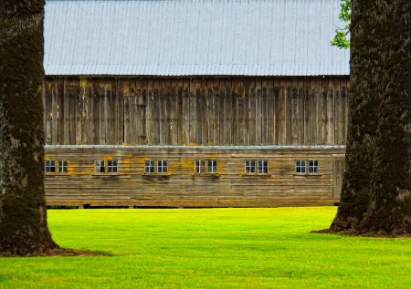 Windows within a Window