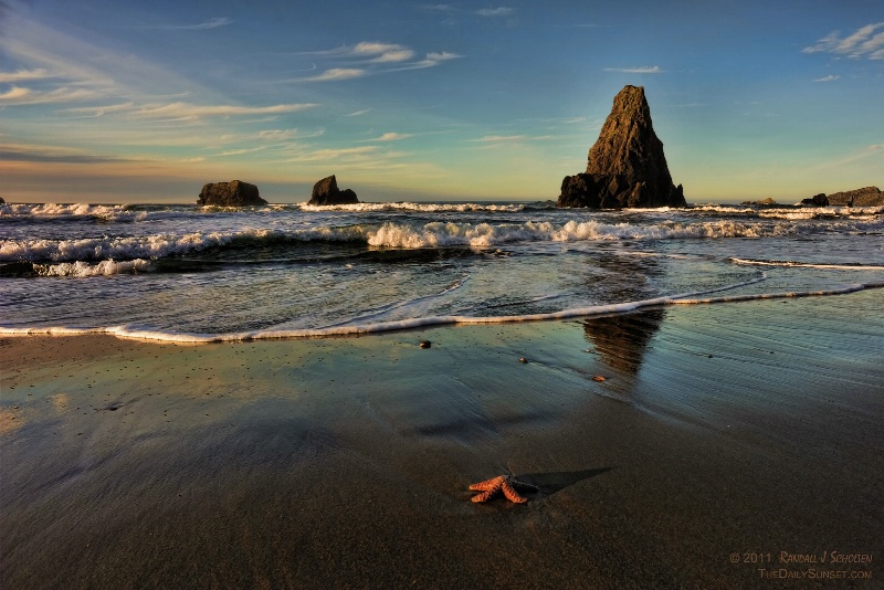 Starfish on the Beach