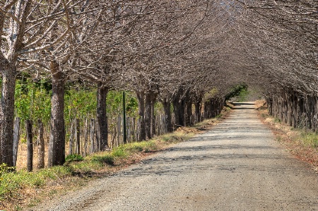 country road