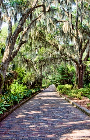  Maclay Gardens State Park, Tallahassee, FL