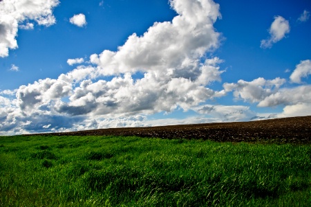 Grass, earth & sky