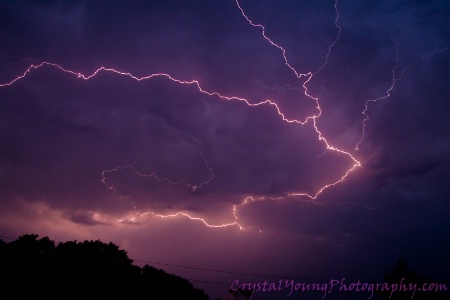 Purple Lightning