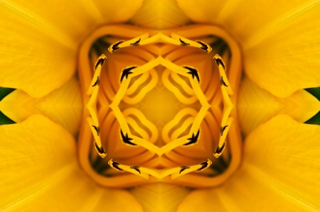 Yellow Day Lily--Kaleidoscope