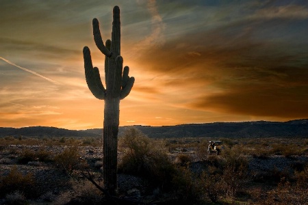 Exploring the Arizona Desert