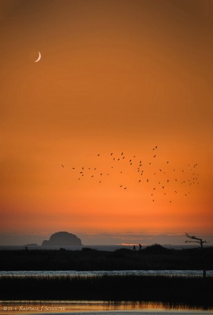 Crescent Moon at Sunset