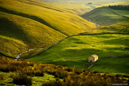 Peaceful Valley