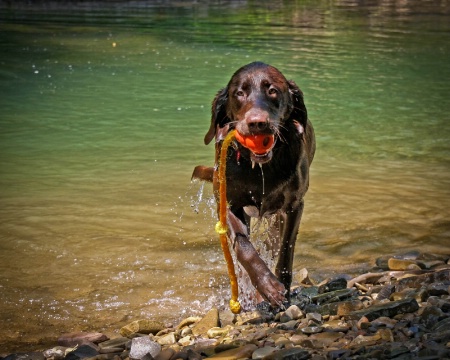 Miss Dazzle acting like Bo Derek