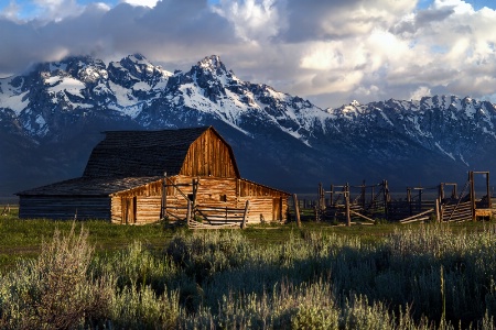 Sunrise on Mormon Row