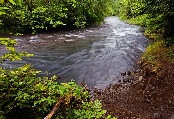 Misty River