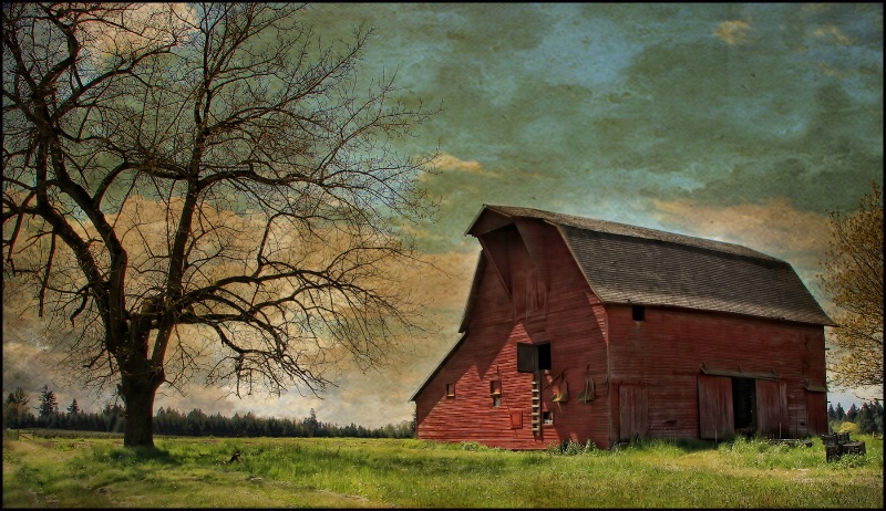 Oregon Barn