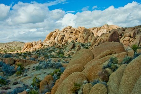 Wonderland of Rocks 