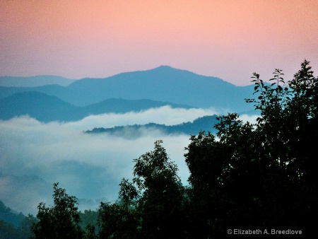 landscape  mist rising