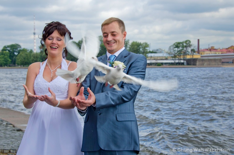 Releasing the Doves