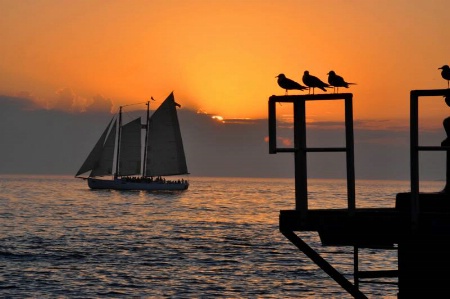 Sailing in the Sunset