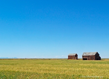 Montana Sky